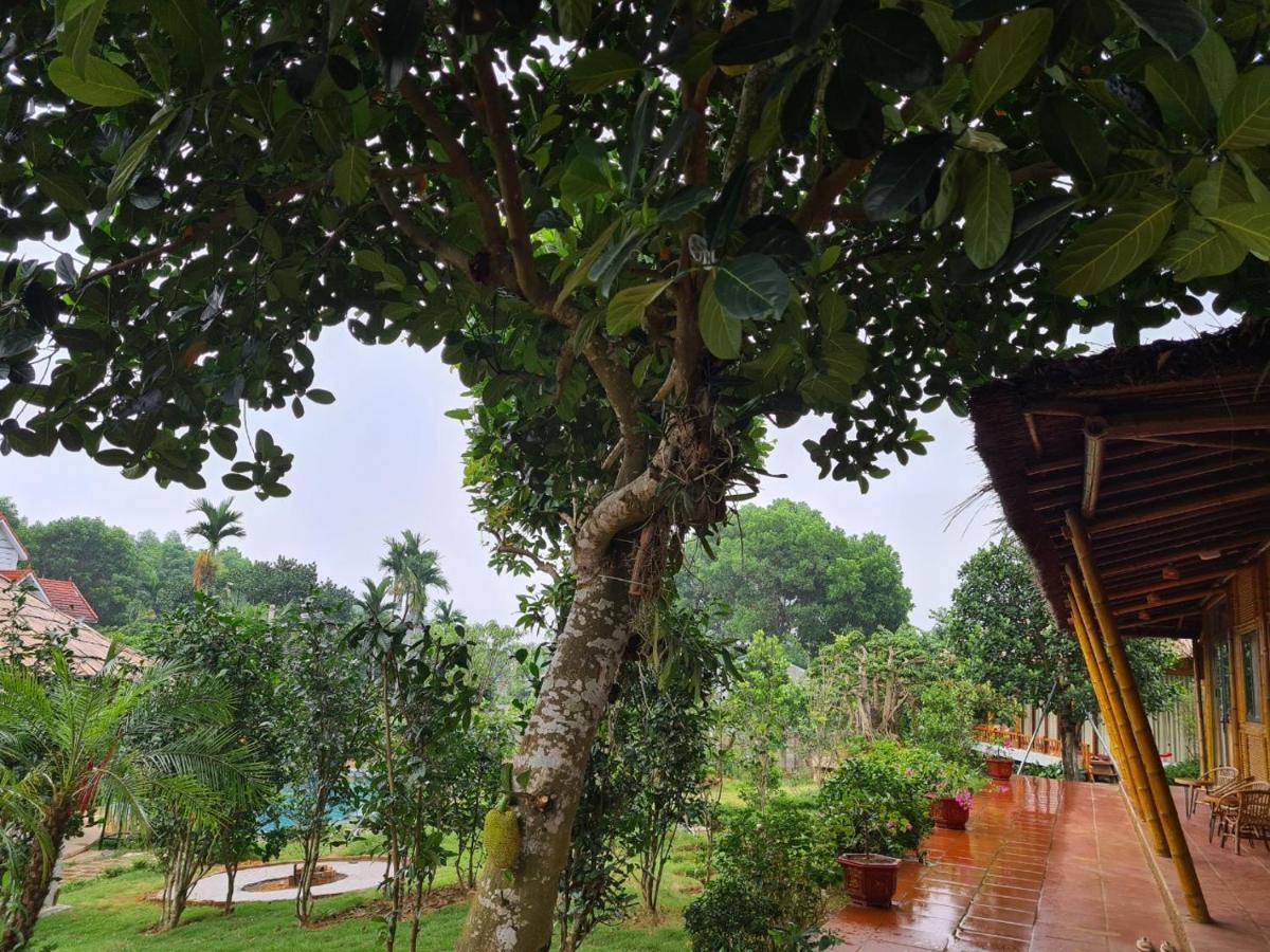 Byve Garden Villa Hanoi Buitenkant foto