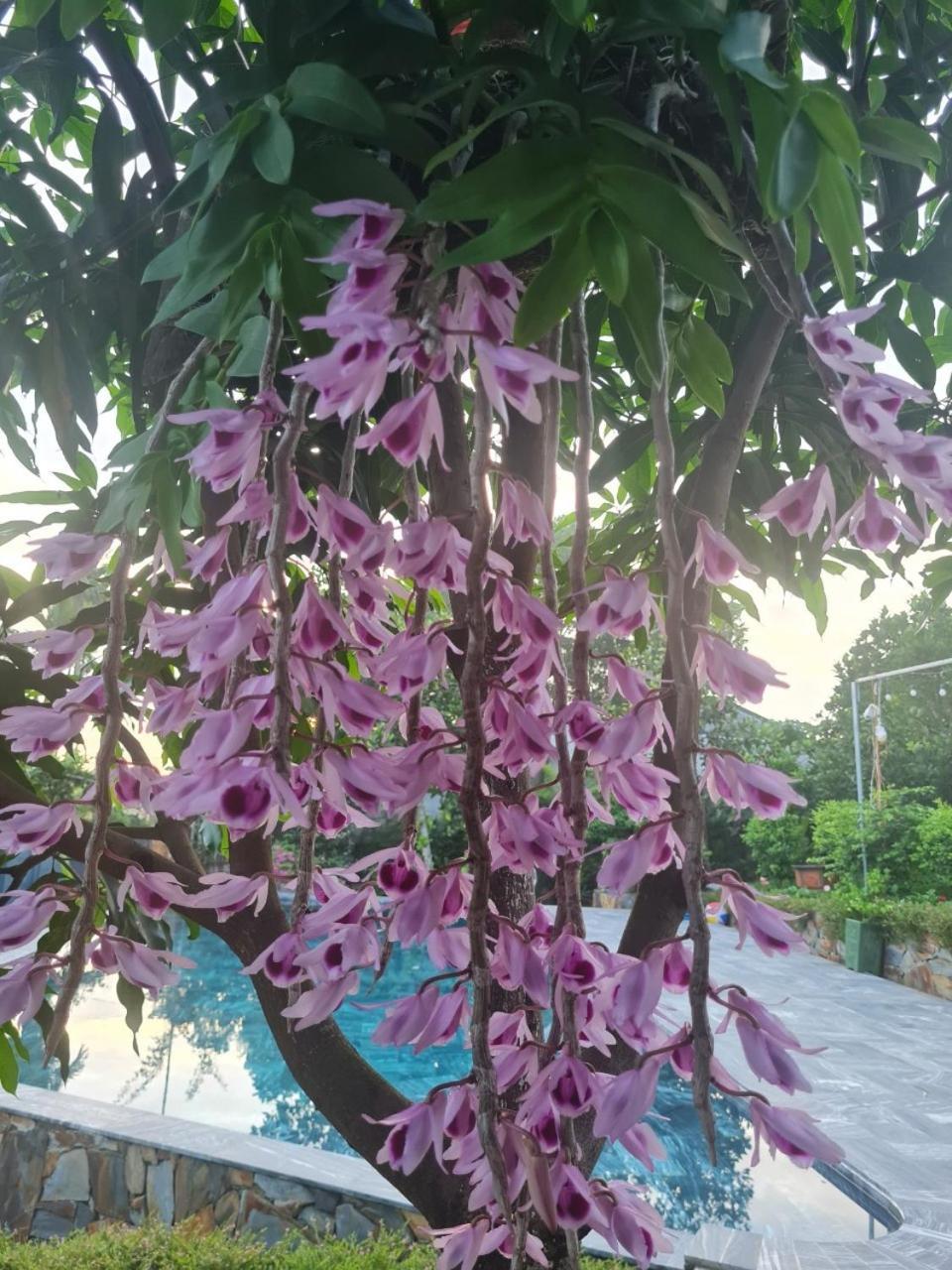 Byve Garden Villa Hanoi Buitenkant foto